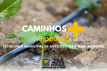 PROGRAMA: CAMINHOS PARA A PRODUÇÃO